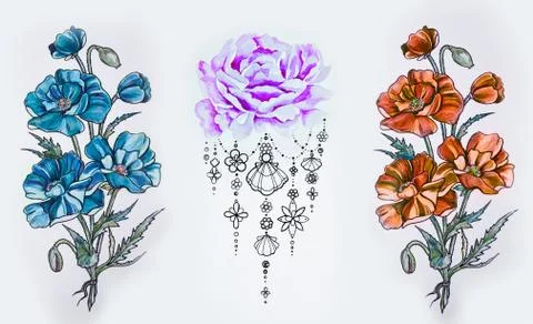 Set of sketches of multi-colored flowers on a white background. Stock Illustration