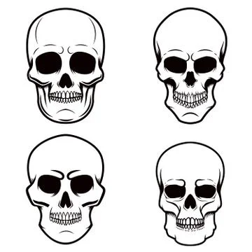 Set of skull illustrations on white background. Design element for logo, labe Stock Illustration