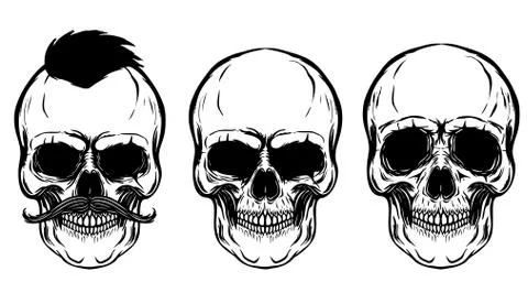 Set of the skulls isolated on white background. Design elements for poster, t Stock Illustration