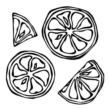 Set Slices of Citrus Isolated on White Background. Doodle Style Vector Stock Illustration