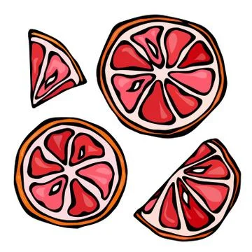 Set Slices of Grapefruit Isolated on White Background. Doodle Style Vector Stock Illustration