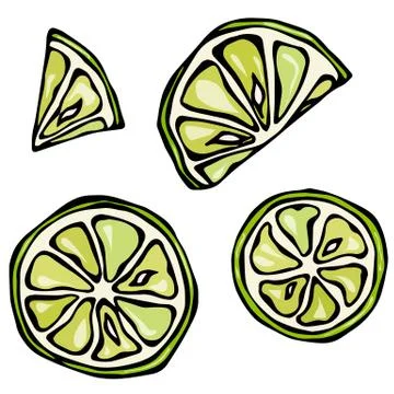 Set Slices of Lime Isolated On White Background. Doodle Style Vector Stock Illustration