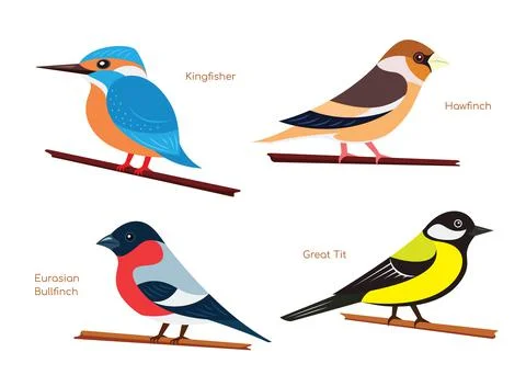 Set of small birds, flat style design Stock Illustration