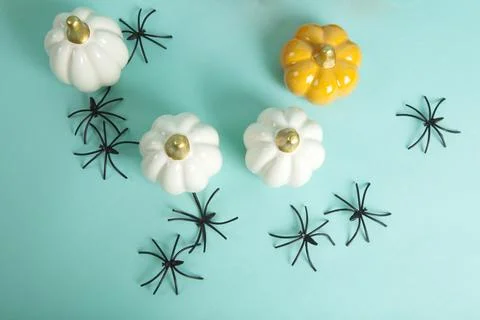 Set of Small ceramic pumpkins in different colors among an invasion of spider Stock Photos