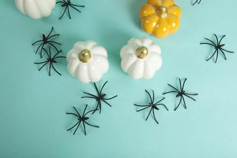 Set of Small ceramic pumpkins in different colors among an invasion of spider Stock Photos