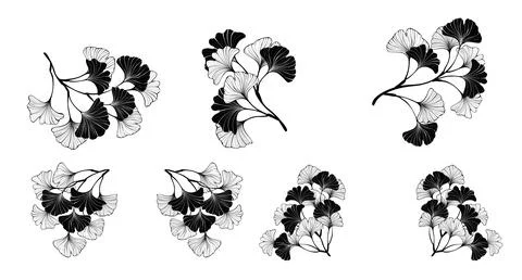 Set small ginkgo biloba branches Stock Illustration
