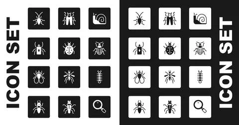 Set Snail, Mite, Beetle bug, Cockroach, Chafer beetle, Centipede and Insect fly Stock Illustration