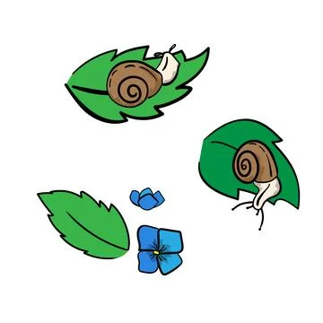 Set of snails on a green leaf, flowers in hand-drawn style Stock Illustration
