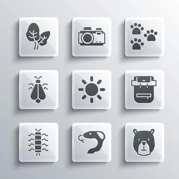 Set Snake, Bear head, Hiking backpack, Sun, Centipede insect, Mosquito, Tropical Stock Illustration