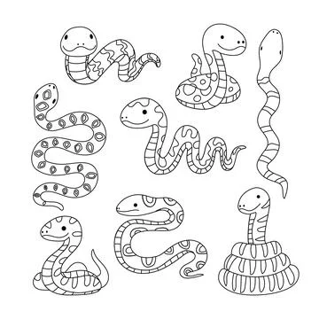 Set of snake doodle collection, snake outline coloring page or book animals.. Stock Illustration