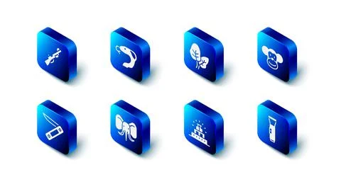 Set Snake, Tropical leaves, Monkey, Flashlight, Chichen Itza in Mayan, Elepha Stock Illustration