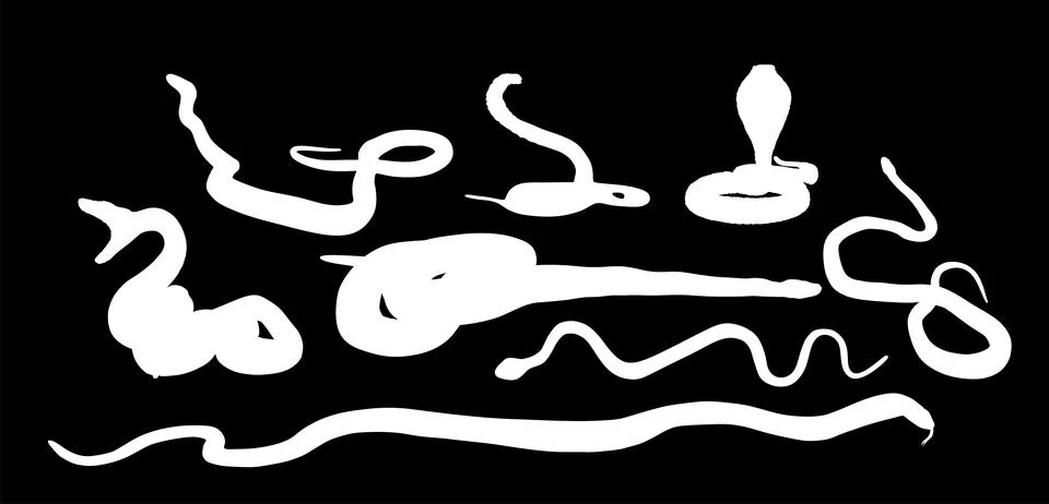 Set of snake vector silhouette vector illustration Illustration