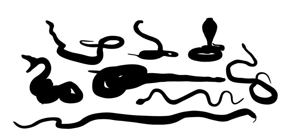 Set of snake vector silhouette vector illustration Stock Illustration