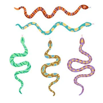 Set of snakes with various patterns. Vector design elements isolated on whi.. Stock Photos