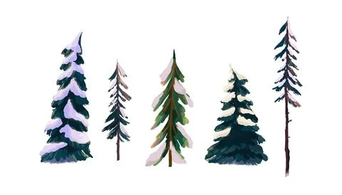 A set of snow-covered coniferous trees. Spruce and pine trees in the snow Illustrazione stock