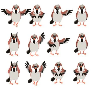 Set of Sparrow flat icons Stock Illustration