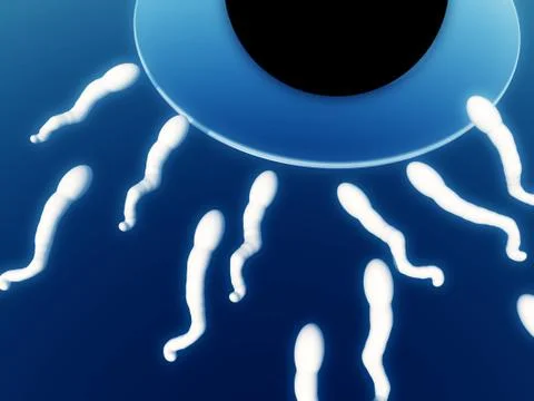A Set Of Sperm Stock Illustration