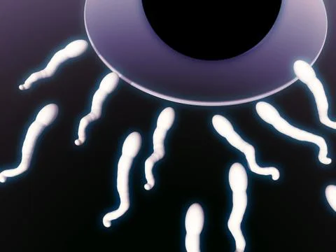 A Set Of Sperm Stock Illustration