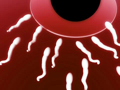 A Set Of Sperm Stock Illustration