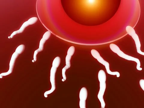 A Set Of Sperm Stock Illustration