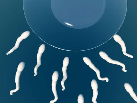 A Set Of Sperms Stock Illustration