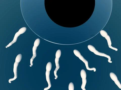 A Set Of Sperms Stock Illustration