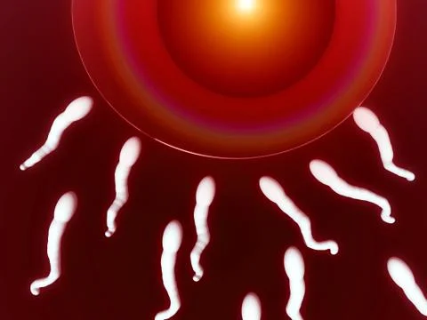 A Set Of Sperms Stock Illustration