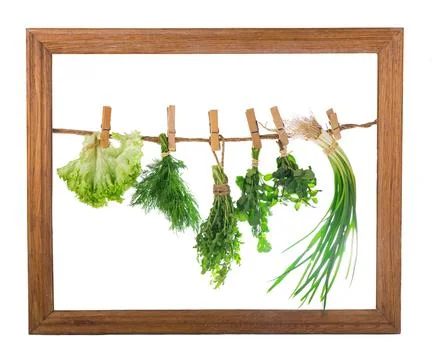 Set of Spice Herbs isolated on white background bunches of thyme, basil, oreg Stock Photos
