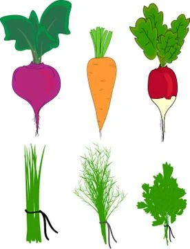Set with spices and vegetables Stock Illustration