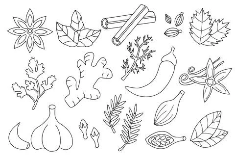Set spices, condiments and herbs. Doodle Outline Line art collection Stock Illustration