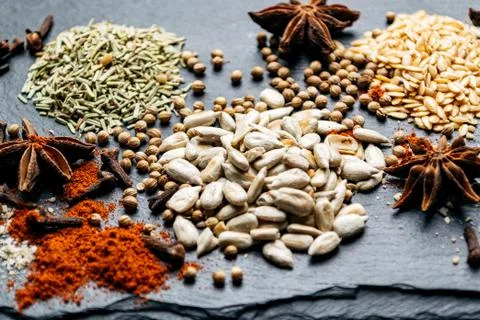 Set of spices on a gray background Stock Photos