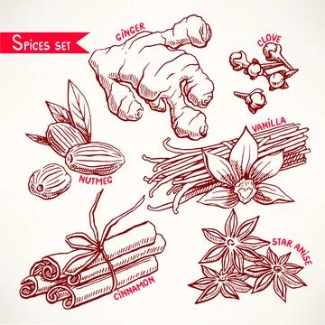 Set with spices Illustrazione stock