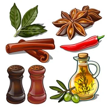 Set of spices isolated on white background. Image of ingredients for a cookbook Stock Illustration