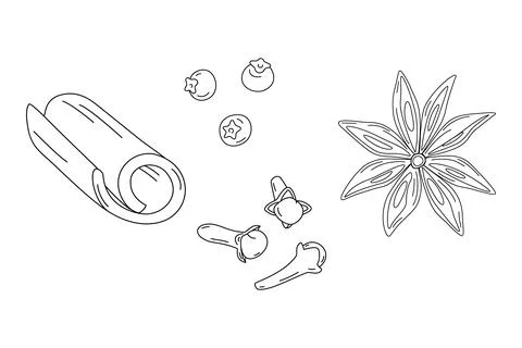Set of spices for mulled wine. Hand drawn cinnamon stick, cloves, star anise and Stock Illustration