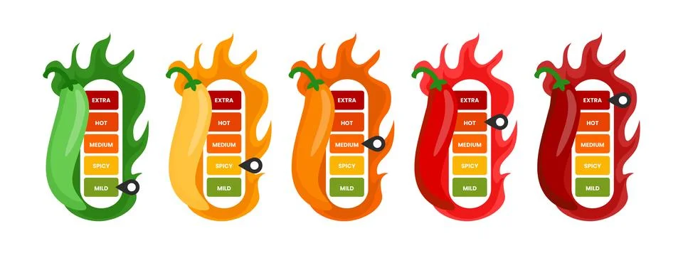 Set of spicy level label set collection with fire flames, red Chili Peppers.. Illustrazione stock