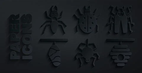 Set Spider, Beetle bug, Butterfly cocoon, Hive for bees, Mite and Ant icon Stock Illustration