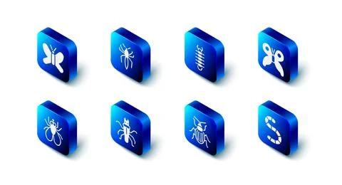 Set Spider, Centipede, Butterfly, Worm, Chafer beetle, Termite, Insect and icon Stock Illustration