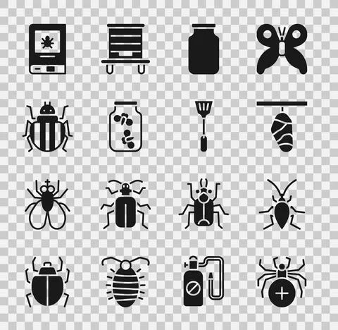 Set Spider, Cockroach, Butterfly cocoon, Glass jar, Fireflies bugs in, Colorado Ilustración de archivo