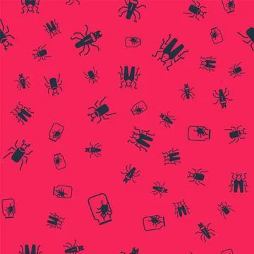 Set Spider in jar, Termite, Beetle bug and on seamless pattern. Vector Illustrazione stock