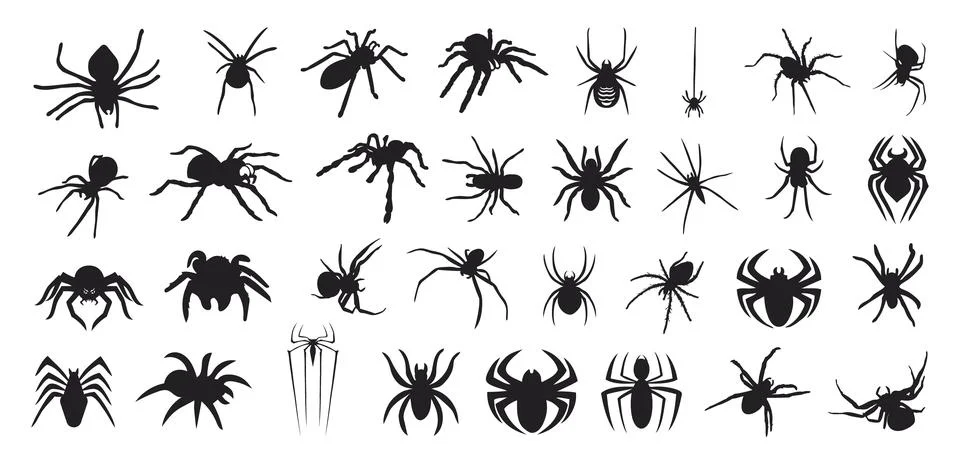 Set of spider silhouette isolated vector illustration Stock Illustration