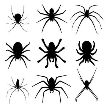 Set of spider silhouette vector icon. Top view Stock Illustration
