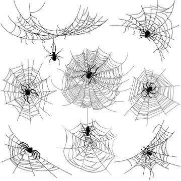 Set of spider web of different shapes with black spiders isolated Illustrazione stock