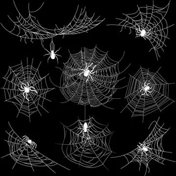 Set of spider web of different shapes with white spiders isolated on black Stock Illustration