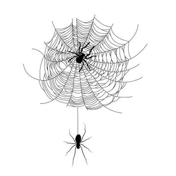 Set of spider web of different shapes with black spiders isolated 스톡 일러스트