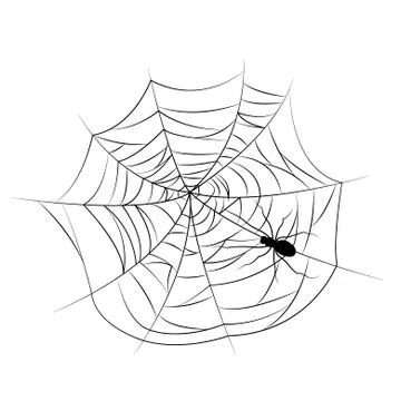 Set of spider web of different shapes with black spiders isolated Illustrazione stock