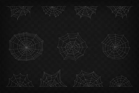 Set of spider web symbols, realistic spiderweb. Illustrazione stock