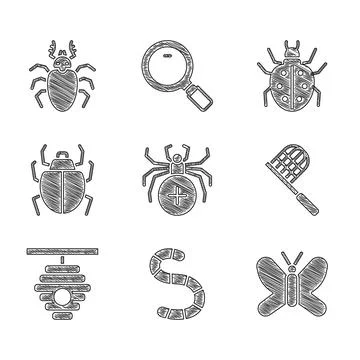 Set Spider, Worm, Butterfly, net, Hive for bees, Mite, and Beetle deer icon Stock Illustration