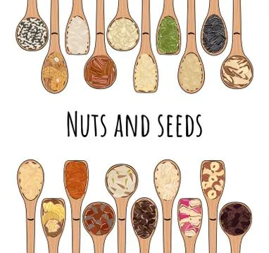 Set of spoons with nuts and seeds. Top view. Border food frame. Stock Illustration