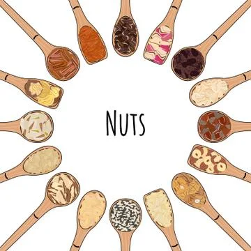 Set of spoons with nuts. Top view. Round frame. Stock Illustration