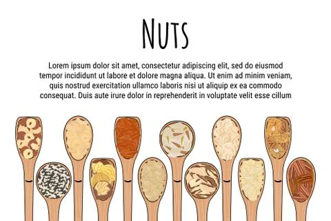 Set of spoons with nuts. Top view. Border food frame Stock Illustration